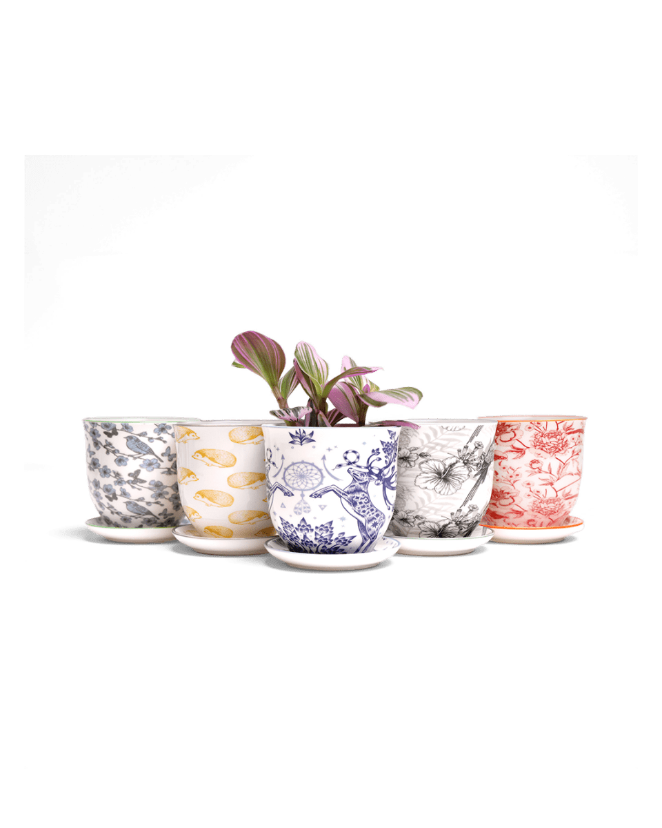 Liberte Pot & Saucer - Chive US Wholesale