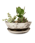 Topper Metal Succulent Dish - Chive US Wholesale