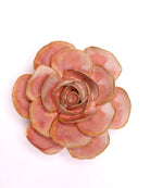 Ceramic Flowers With Keyhole For Hanging On Walls Collection 15 - Chive US Wholesale