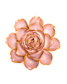 Ceramic Flowers With Keyhole For Hanging On Walls Collection 15 - Chive US Wholesale