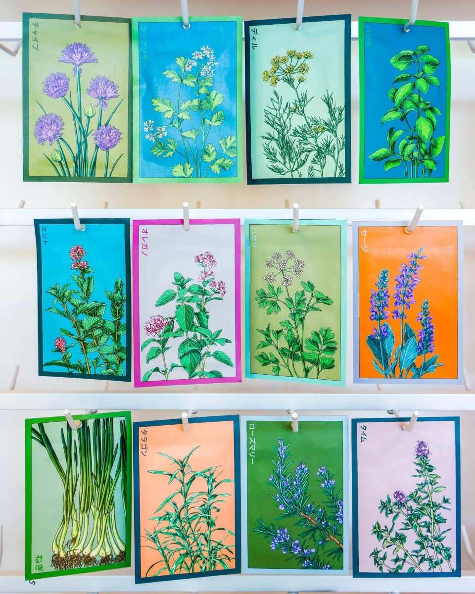 Herb Seeds Packets - 96pc Assortment 1 - Chive US Wholesale
