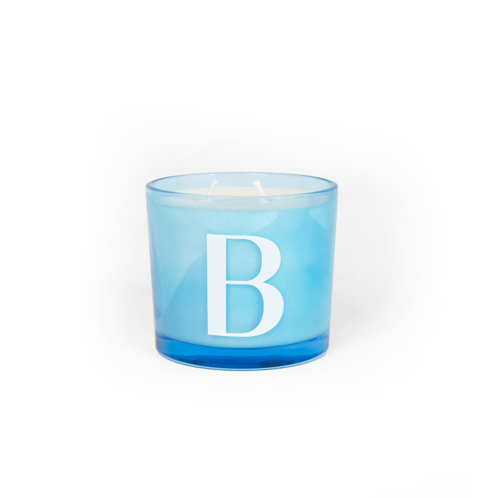 Modern Fling Coconut & Soy Blend Candle B - Chive US Wholesale