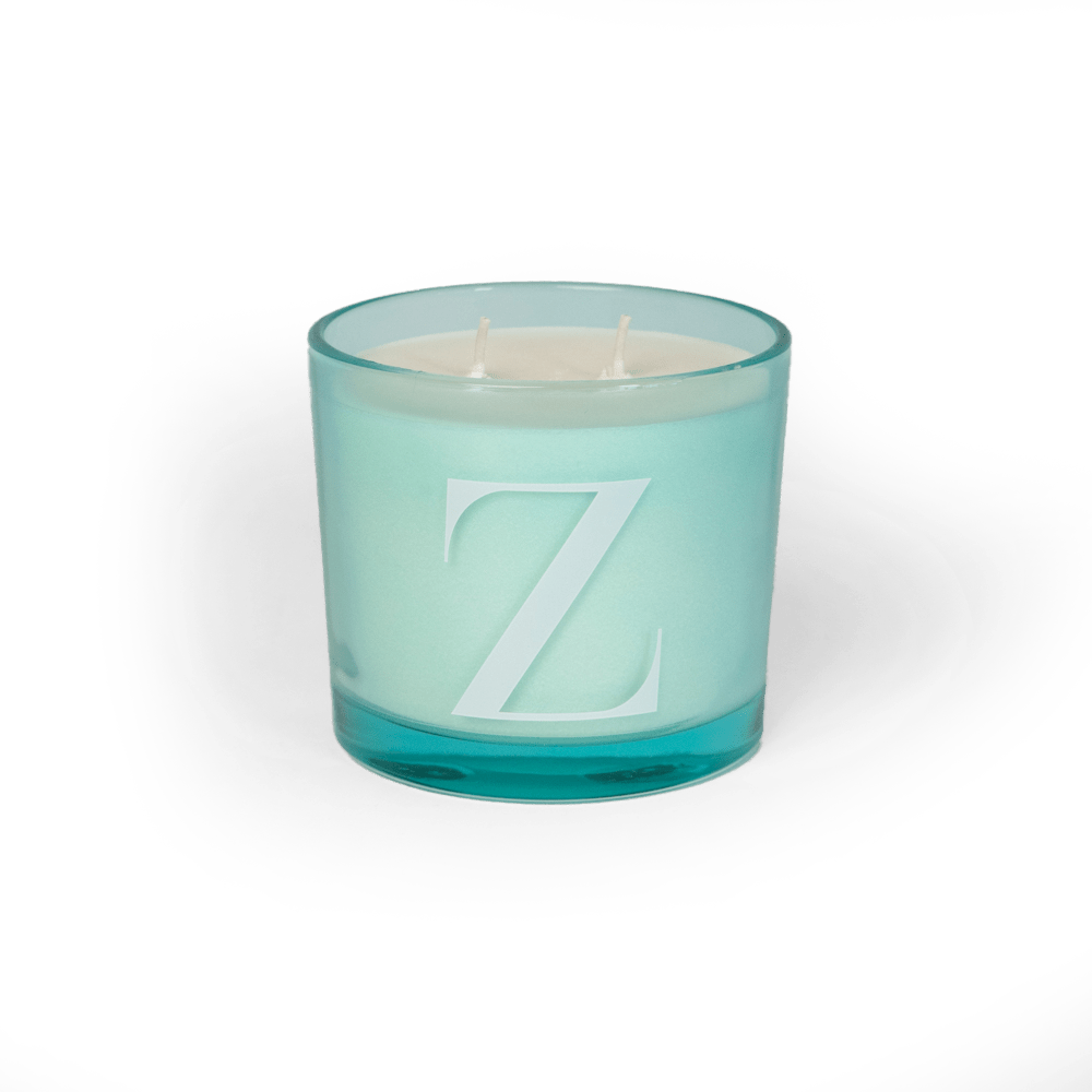 Modern Fling Coconut & Soy Blend Candle Z - Chive US Wholesale