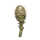 Ceramic Artichoke - Chive US Wholesale