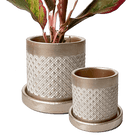 Balter Ceramic Pot And Saucer Set - Chive US Wholesale