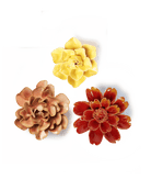 Ceramic Birth Flower Collection - Spring - Chive US Wholesale