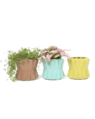 Fang Ceramic Modern Planter Kits - Chive US Wholesale