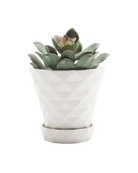 Diamond Porcelain Modern Indoor Plant Pot With Saucer Kit - Chive US Wholesale