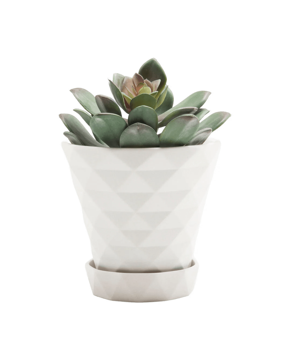 Diamond Porcelain Modern Indoor Plant Pot With Saucer Kit - Chive US Wholesale