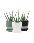 Dyad Pot And Saucer 48pc Kit - Medium - Chive US Wholesale