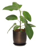 Joe Metal Pot With Drainage Hole - Chive US Wholesale
