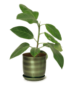 Joe Metal Pot With Drainage Hole - Chive US Wholesale