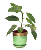 Joe Metal Pot With Drainage Hole - Chive US Wholesale