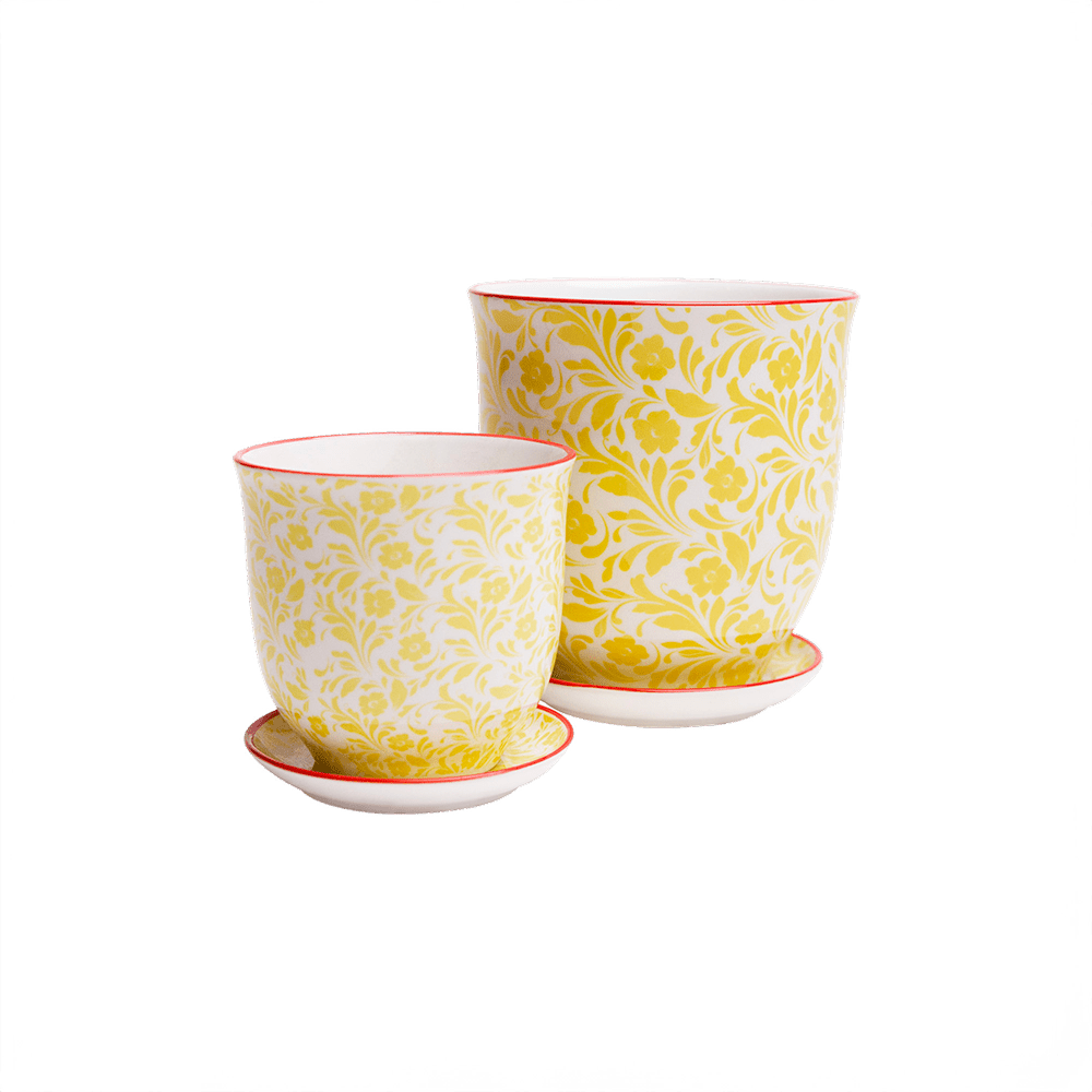 Liberte Porcelain Pot And Saucer Set With Drainage - Chive US Wholesale