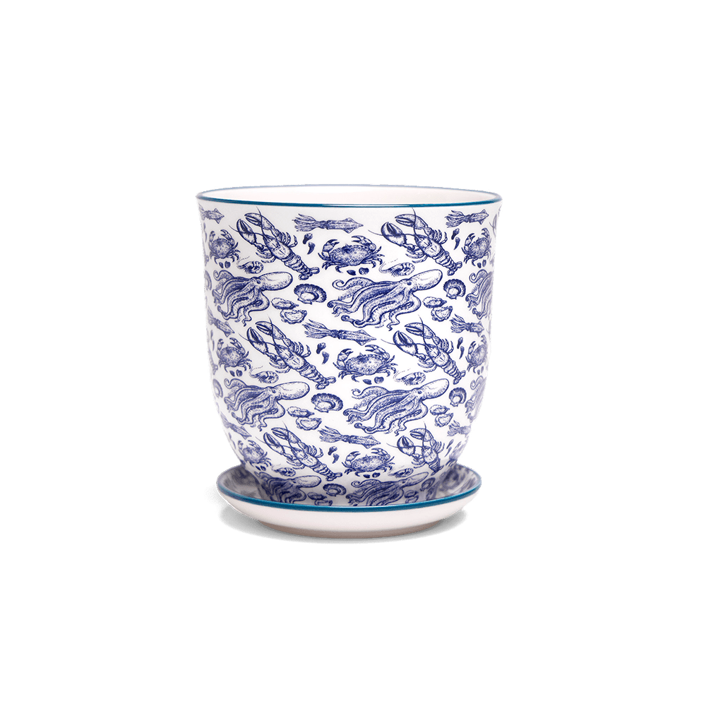 Liberte 5 Porcelain Pot And Saucer With Drainage - Chive US Wholesale