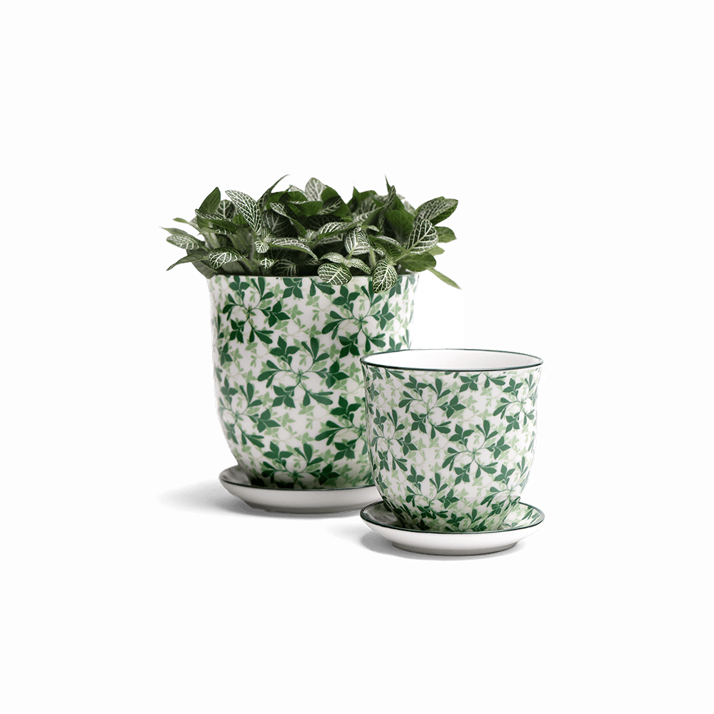 Liberte Porcelain Pot And Saucer Set With Drainage - Chive US Wholesale