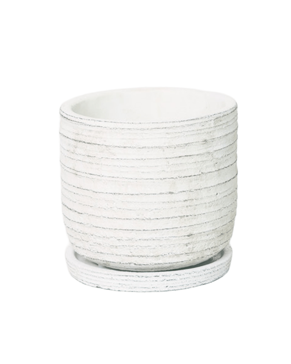 Paul Ceramic Pot And Saucer Set With Drainage - Chive US Wholesale