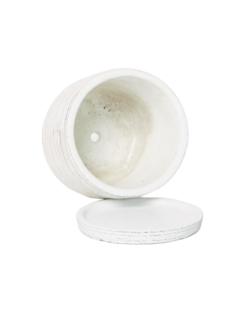 Paul Ceramic Pot And Saucer Set With Drainage - Chive US Wholesale