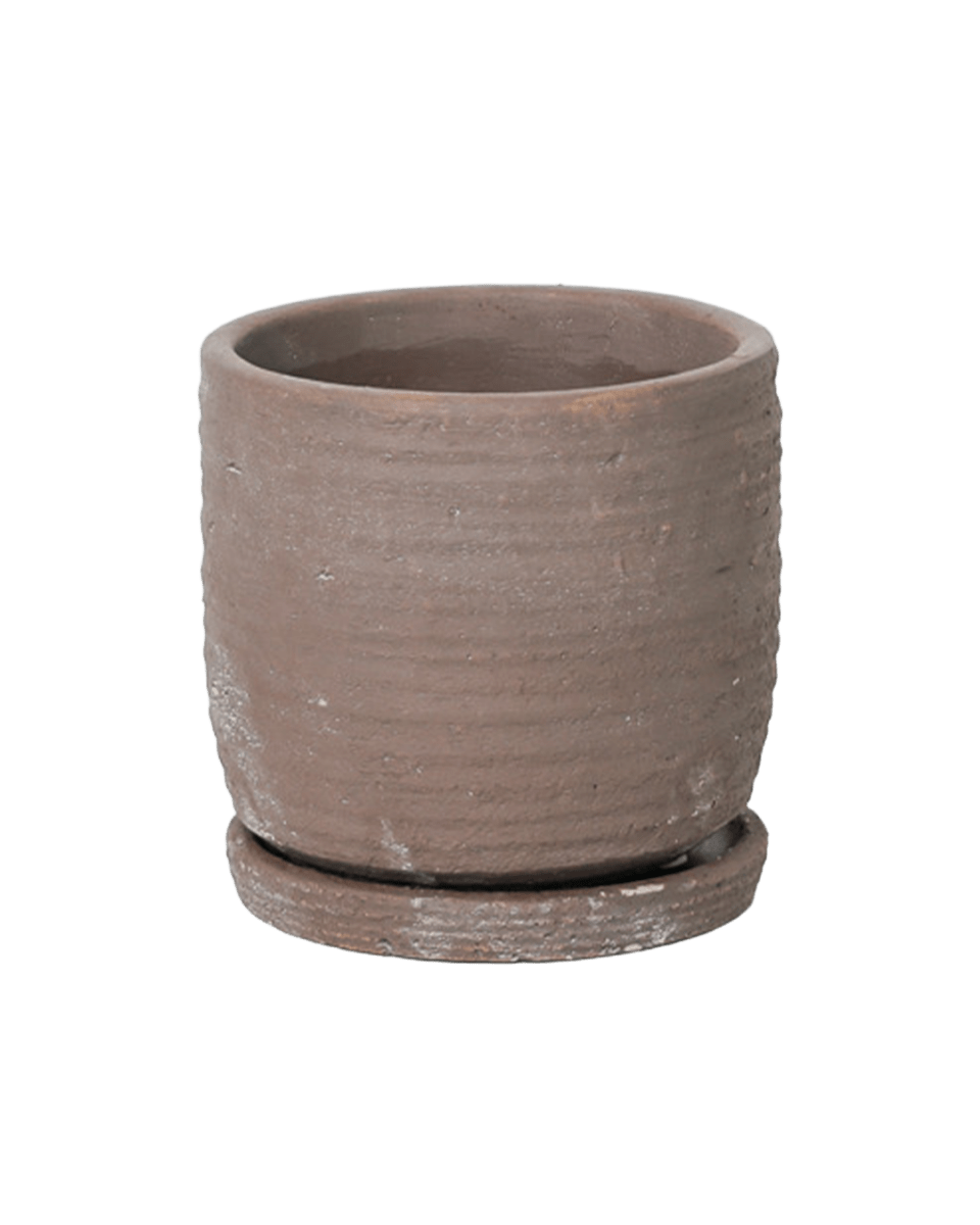 Paul Ceramic Pot And Saucer Set With Drainage - Chive US Wholesale