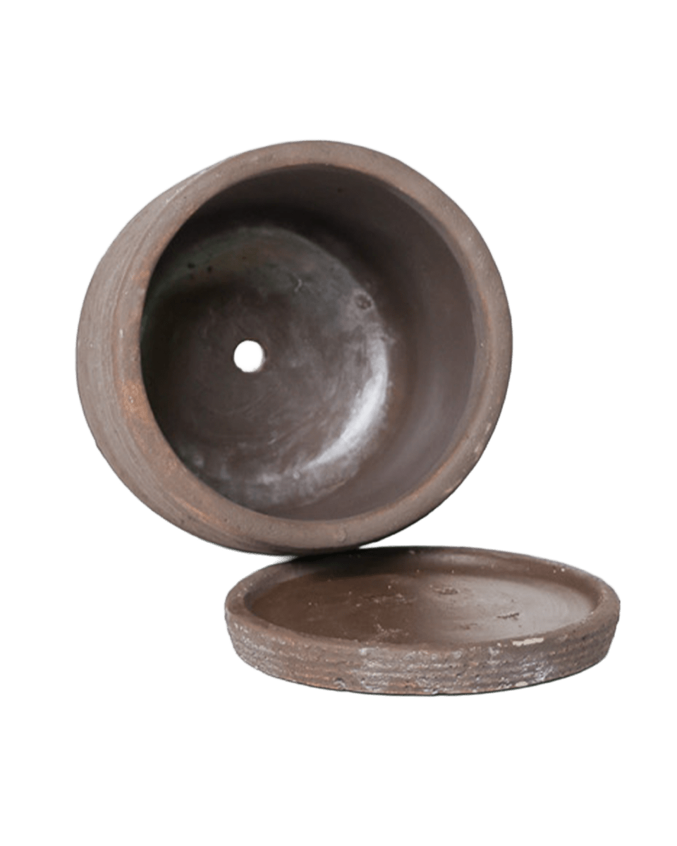 Paul Ceramic Pot And Saucer Set With Drainage - Chive US Wholesale