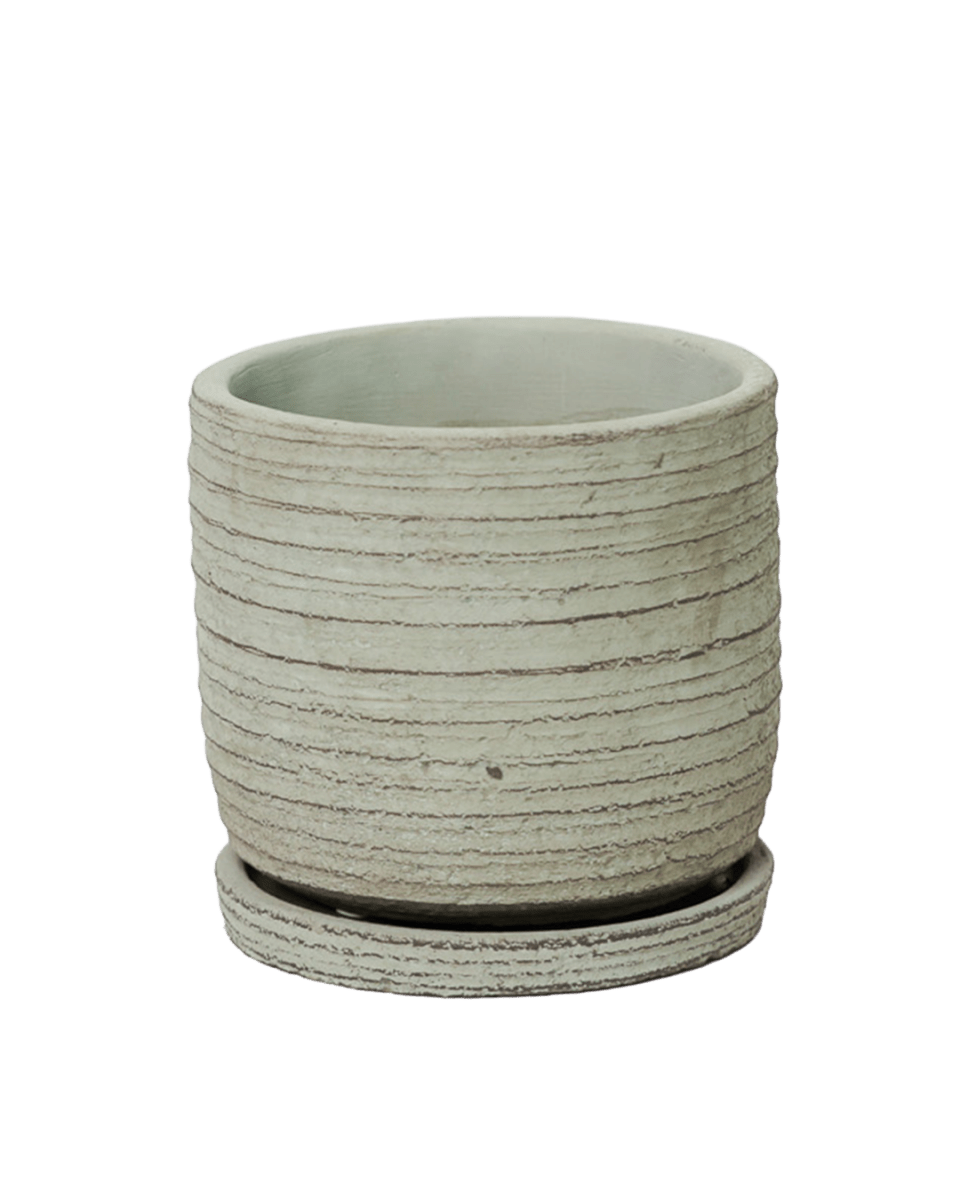 Paul Ceramic Pot And Saucer Set With Drainage - Chive US Wholesale