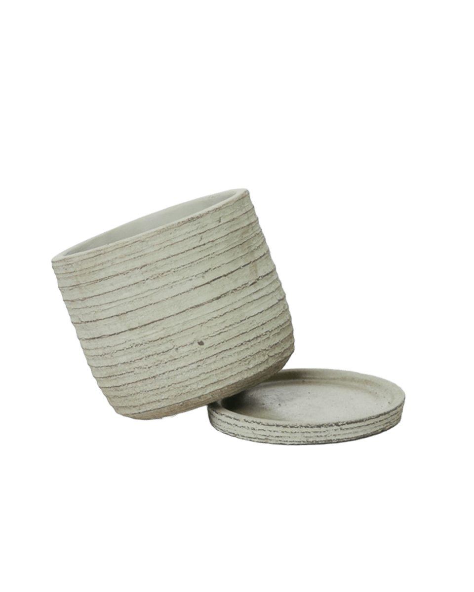Paul Ceramic Pot And Saucer Set With Drainage - Chive US Wholesale