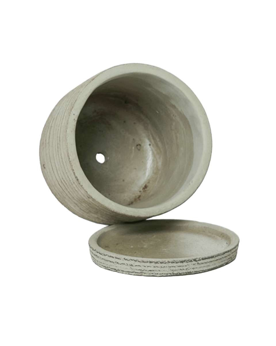 Paul Ceramic Pot And Saucer Set With Drainage - Chive US Wholesale