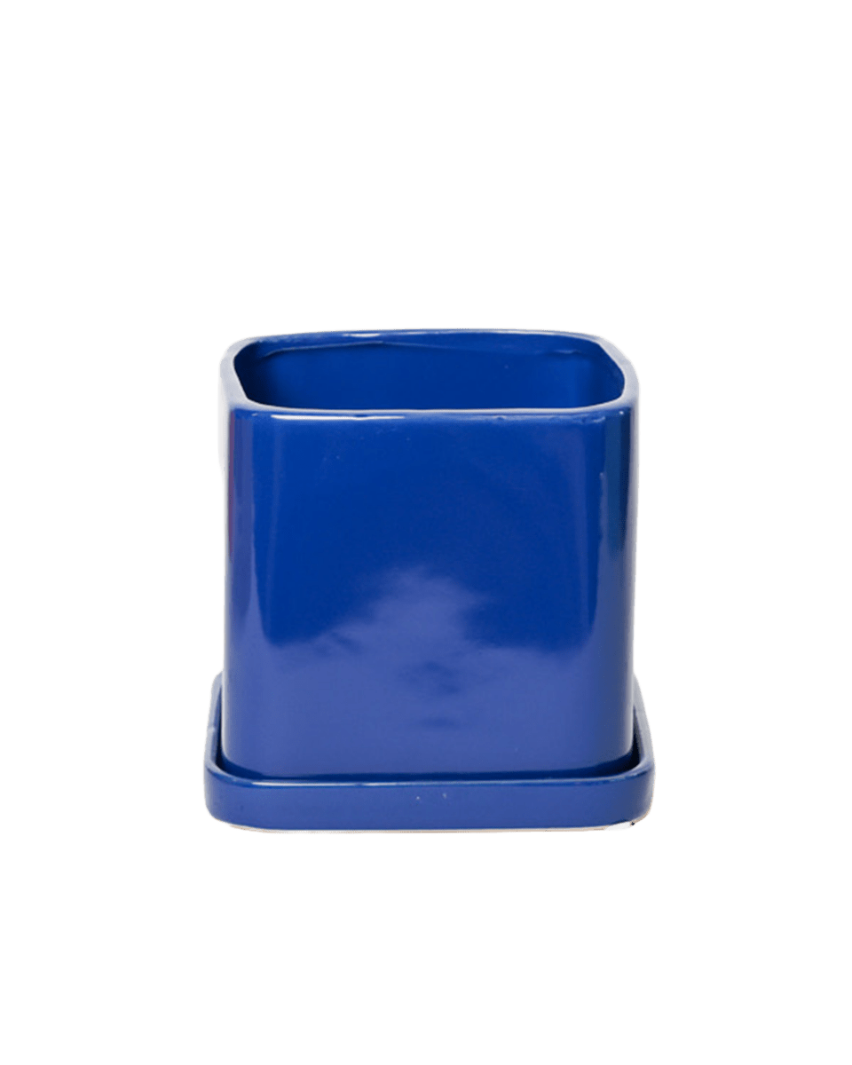 Svek Ceramic Pot And Saucer With Drainage Hole - Chive US Wholesale