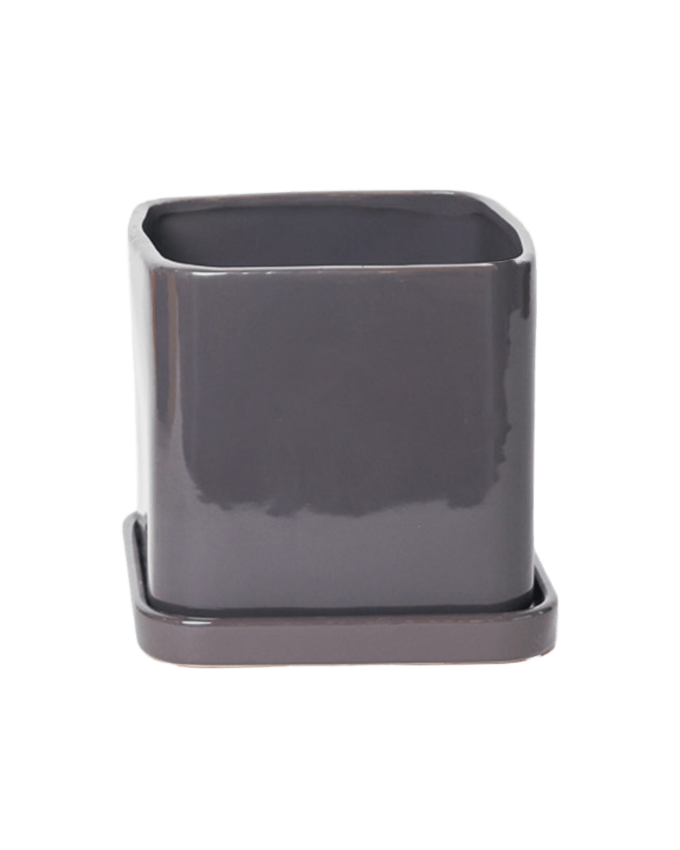 Svek Ceramic Pot And Saucer With Drainage Hole - Chive US Wholesale