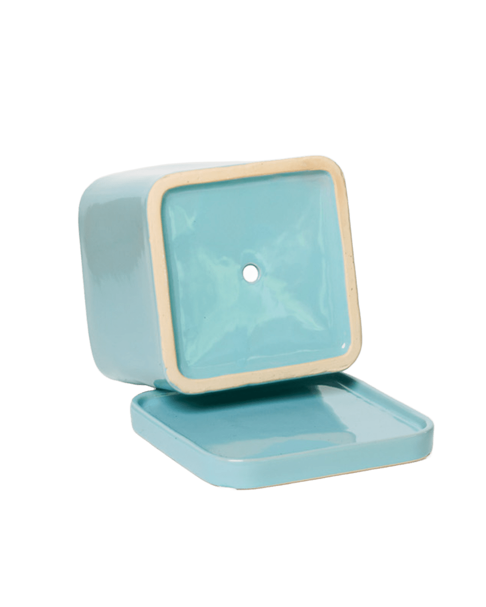 Svek Ceramic Pot And Saucer With Drainage Hole - Chive US Wholesale