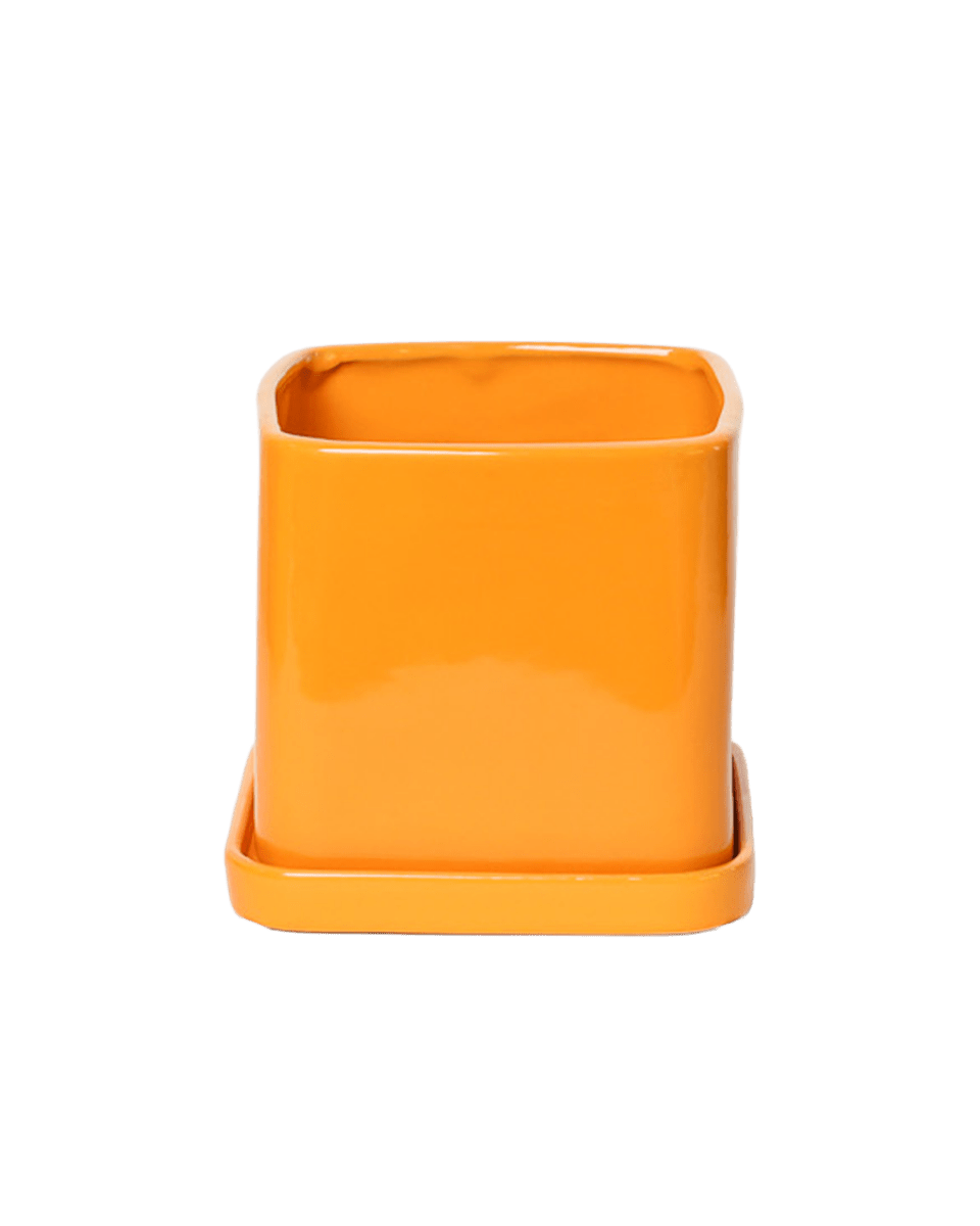 Svek Ceramic Pot And Saucer With Drainage Hole - Chive US Wholesale