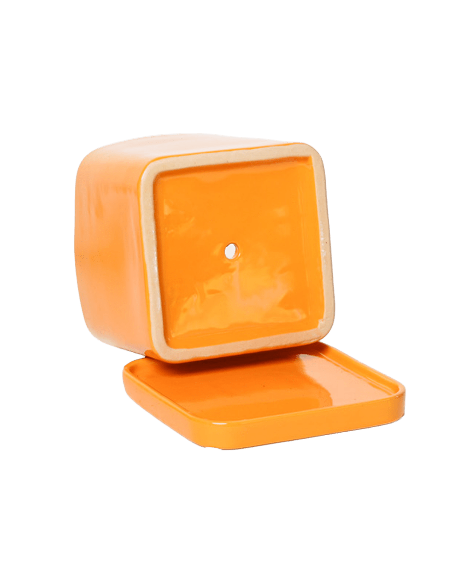 Svek Ceramic Pot And Saucer With Drainage Hole - Chive US Wholesale