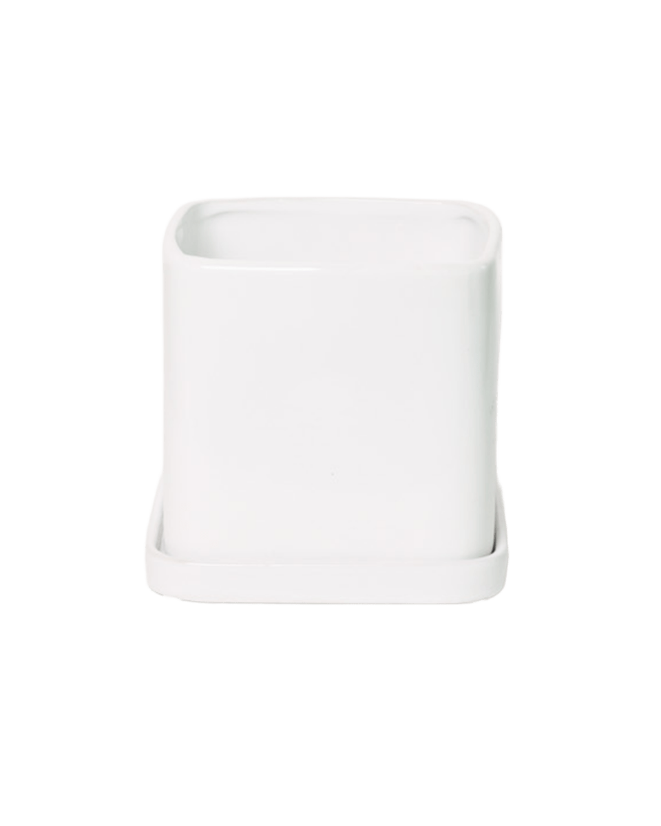 Svek Ceramic Pot And Saucer With Drainage Hole - Chive US Wholesale