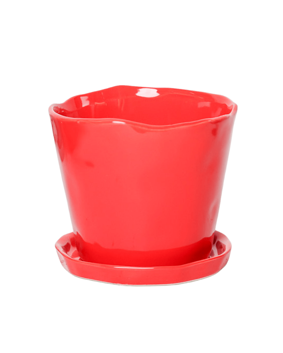 Tika Ceramic Pot & Saucer Set With Drainage - Chive US Wholesale