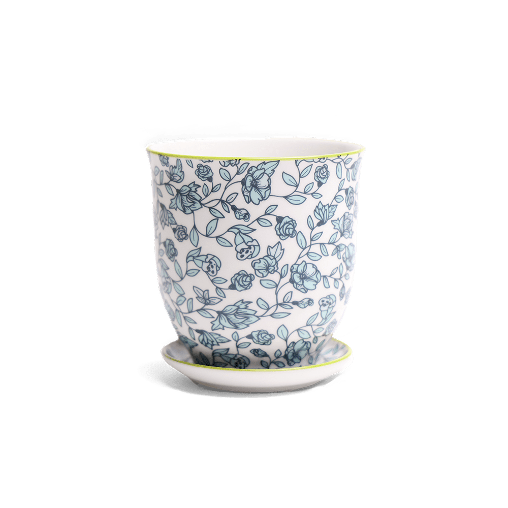 Liberte Porcelain Pot And Saucer Set With Drainage - Chive US Wholesale