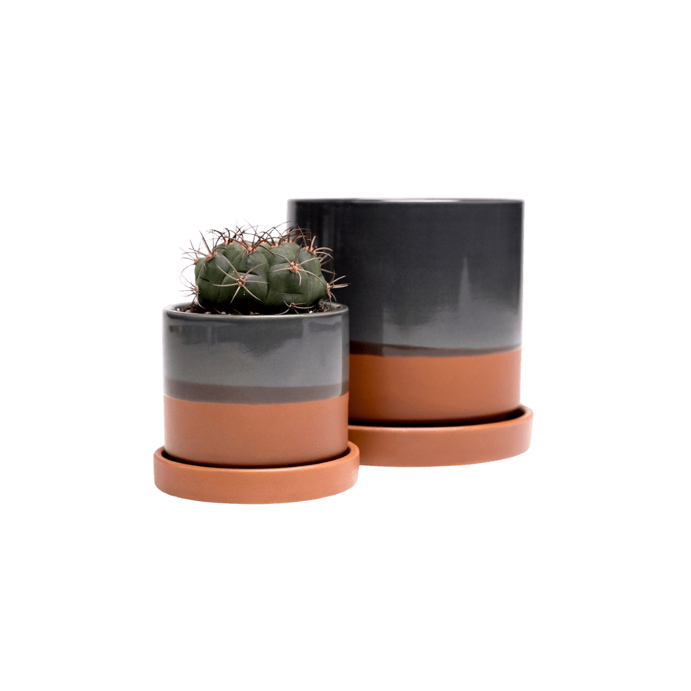 Elephant Ceramic Indoor Plant Pot Kit – Chive US Wholesale