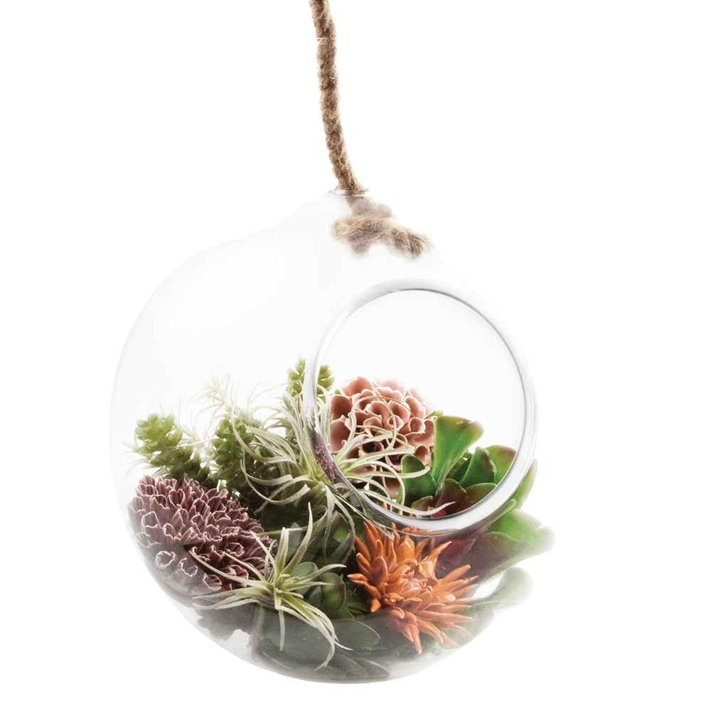 Bolsk Glass Large Hanging Terrarium - Chive US Wholesale