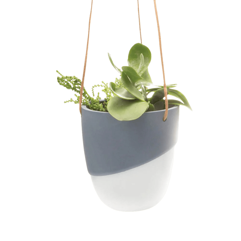 Bobbin Porcelain Modern Hanging Indoor Plant Pot - Chive US Wholesale