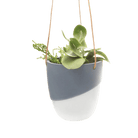 Bobbin Porcelain Modern Hanging Indoor Plant Pot - Chive US Wholesale