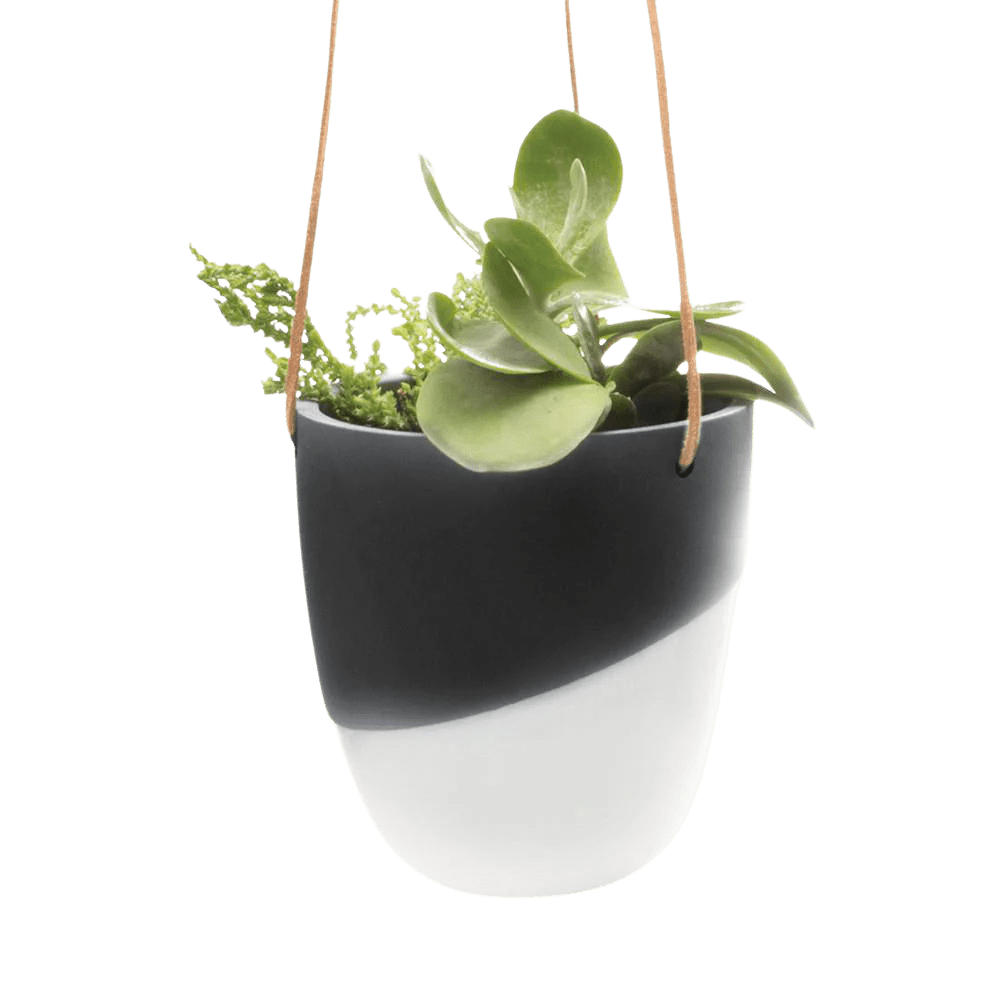 Bobbin Porcelain Modern Hanging Indoor Plant Pot - Chive US Wholesale