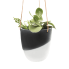 Bobbin Porcelain Modern Hanging Indoor Plant Pot - Chive US Wholesale