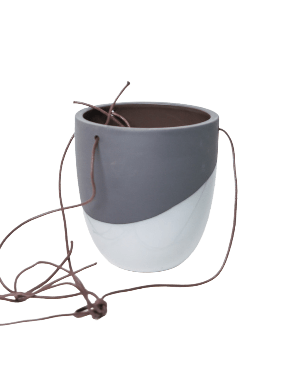 Bobbin Porcelain Modern Hanging Indoor Plant Pot - Chive US Wholesale