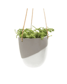 Bobbin Porcelain Modern Hanging Indoor Plant Pot Kit - Chive US Wholesale