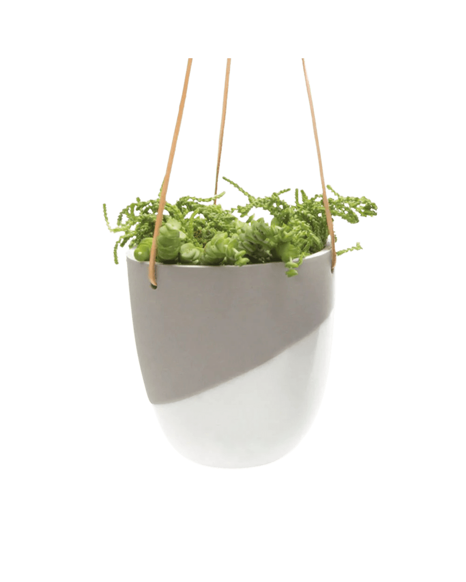 Bobbin Porcelain Modern Hanging Indoor Plant Pot Kit - Chive US Wholesale