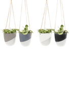 Bobbin Porcelain Modern Hanging Indoor Plant Pot Kit - Chive US Wholesale