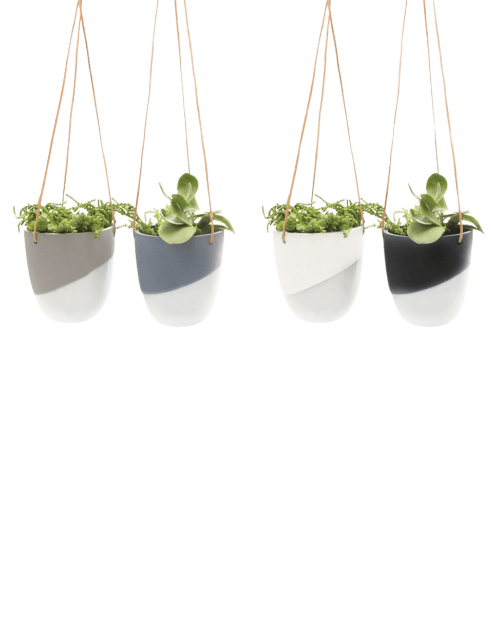 Bobbin Porcelain Modern Hanging Indoor Plant Pot Kit - Chive US Wholesale