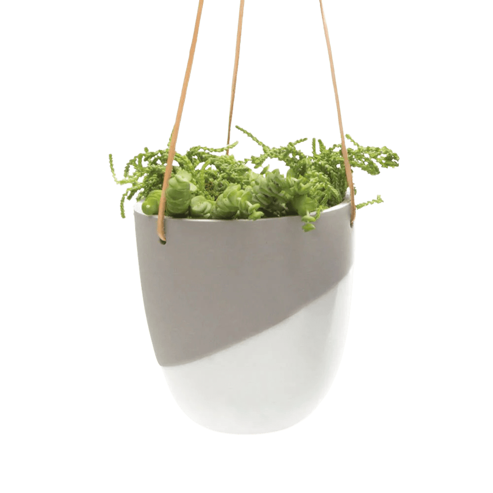 Bobbin Porcelain Modern Hanging Indoor Plant Pot - Chive US Wholesale