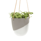 Bobbin Porcelain Modern Hanging Indoor Plant Pot - Chive US Wholesale