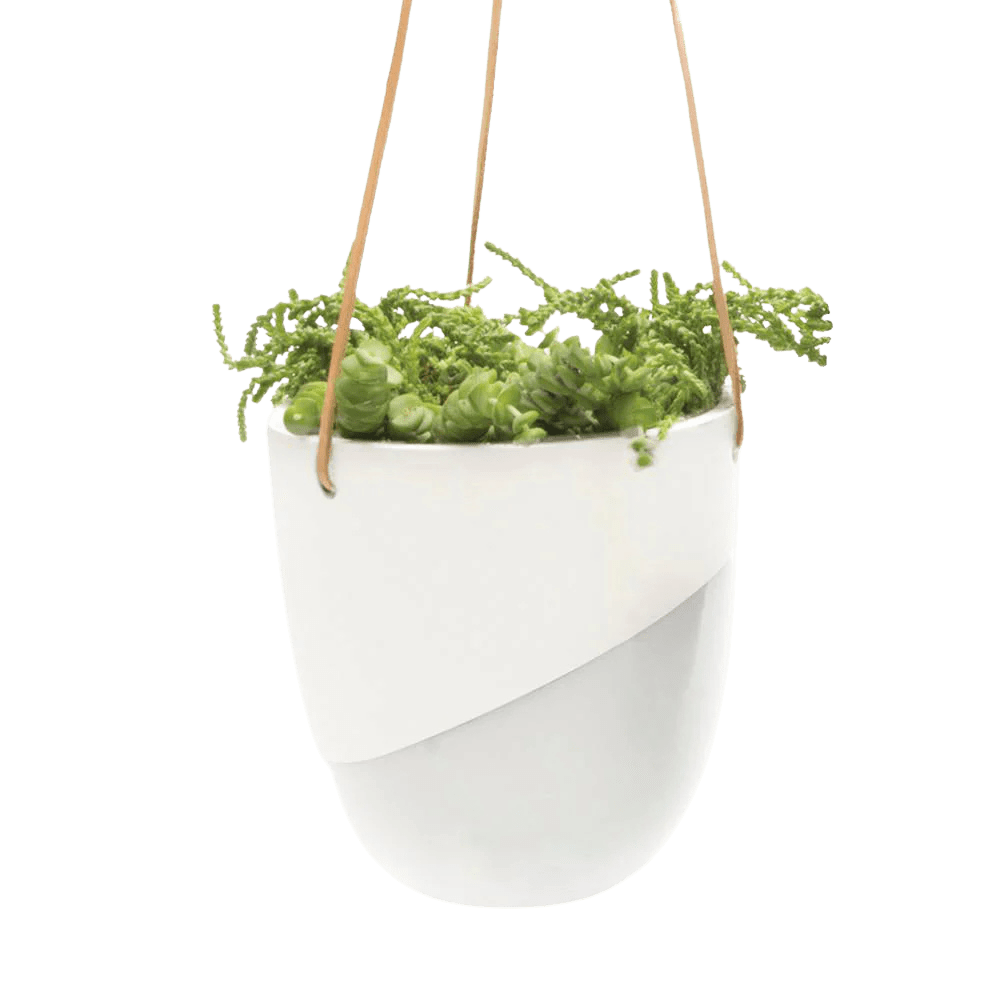 Bobbin Porcelain Modern Hanging Indoor Plant Pot - Chive US Wholesale