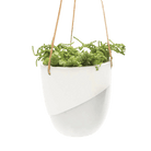 Bobbin Porcelain Modern Hanging Indoor Plant Pot - Chive US Wholesale